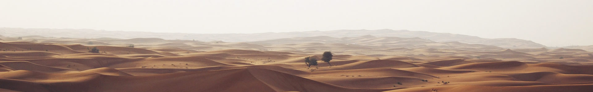 㽭ԴĻƼ޹˾